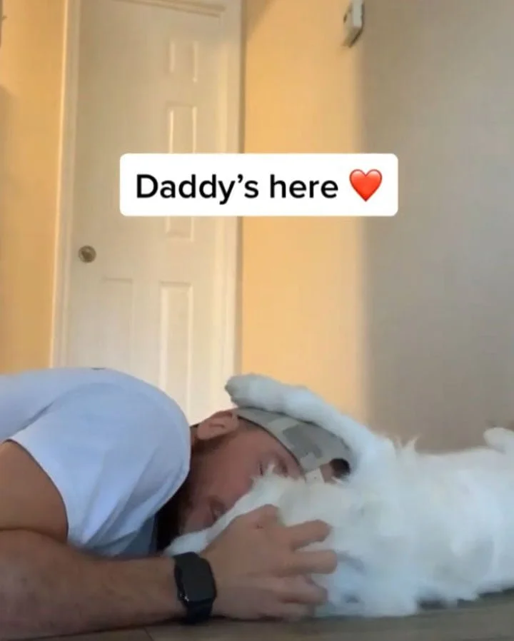 Hombre comparte la adorable manera en que despierta a su perrita ciega y sorda sin asustarla 4 perrito ciego y sordo