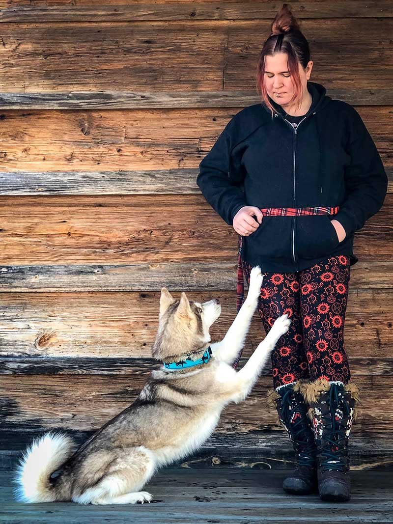 Husky encuentra una caja llena de gatitos y se convierte en su nueva madre 2 Banner y dueña