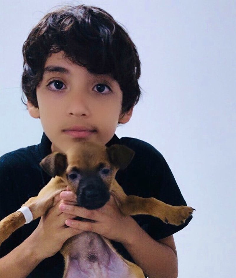 Adolescente abre un refugio de animales único y ya ha rescatado a 26 animales 3 Eduardo 9 años