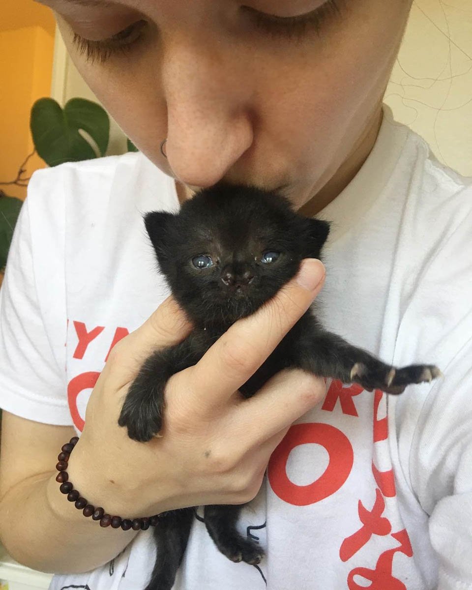 Gatita con una linda nariz se recupera luego de ser encontrada en un patio trasero 22 Gatita especial recibe beso