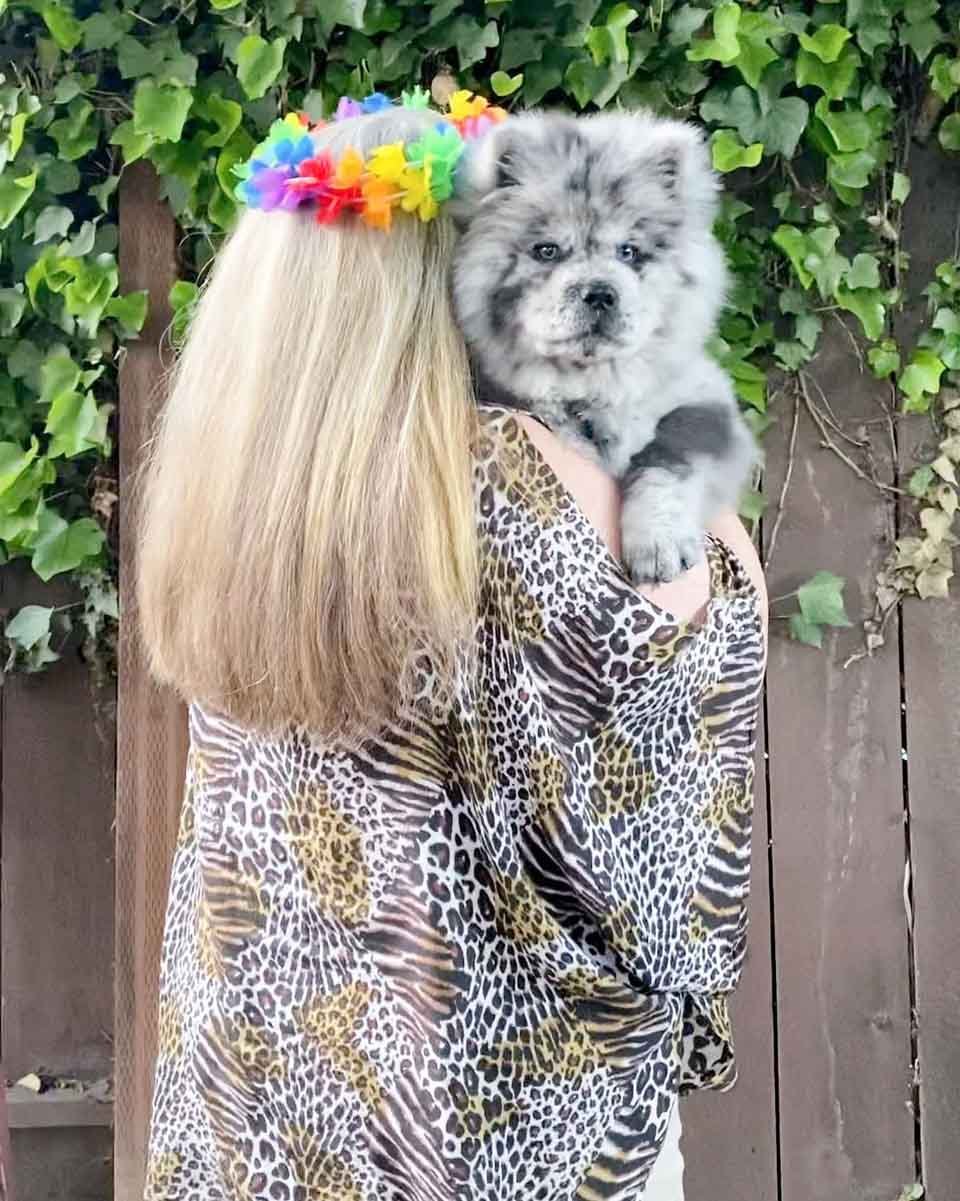 Conoce a esta pequeña nube de Oreo que se convertirá en un enorme perro 17 Mujer abraza a perrito adorable