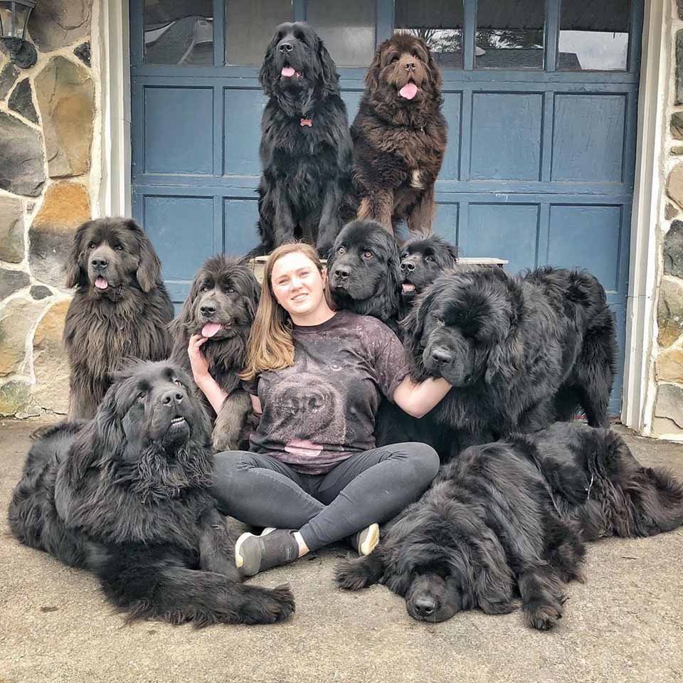 Mujer acompañada de sus perros