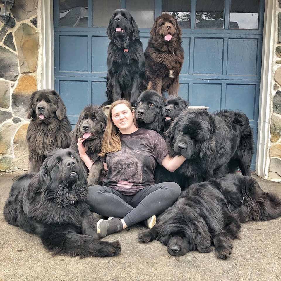 Mujer y sus 9 perros visitan a personas hospitalizadas llevando felicidad a quienes más la necesitan 19 Mujer acompañada de sus perros