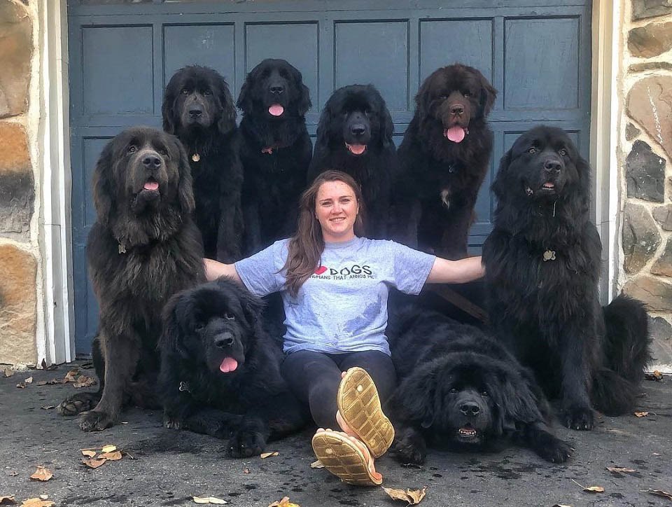 Mujer y sus 9 perros visitan a personas hospitalizadas llevando felicidad a quienes más la necesitan 18 Mujer posa con sus 9 perros