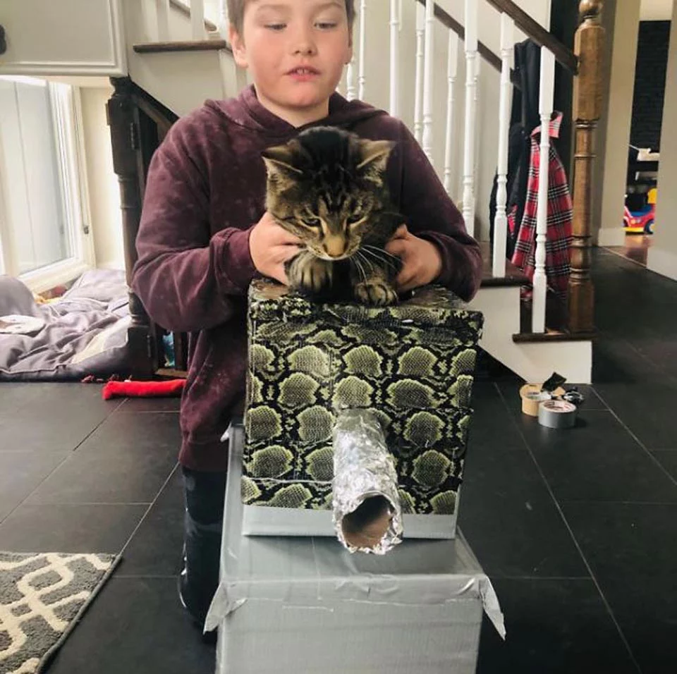 Niño sostiene a gato sobre tanque de cartón