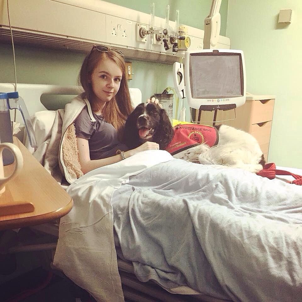 Niña con discapacidad tiene el ayudante más adorable, su perro Ted 15 Perro ayudante hospital