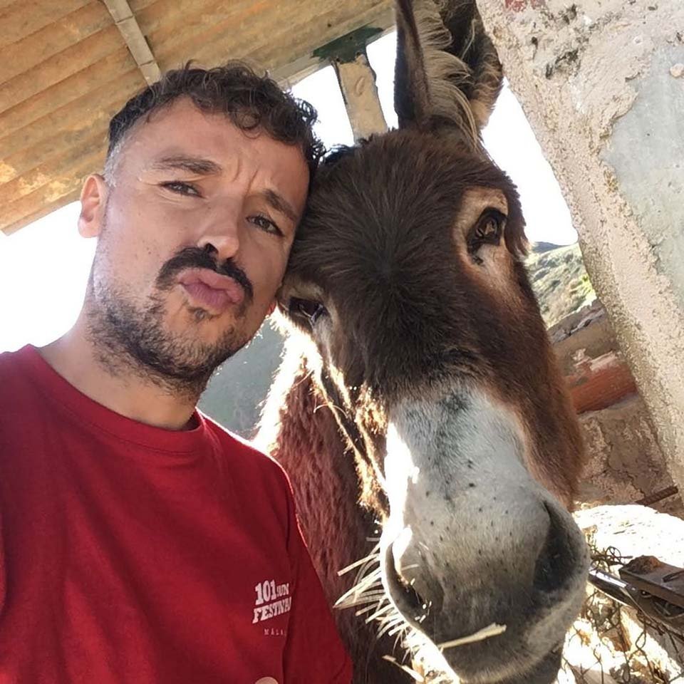 Hombre y burro lloran de alegría mientras se reúnen después de la cuarentena 4 hombre y su burro mascota