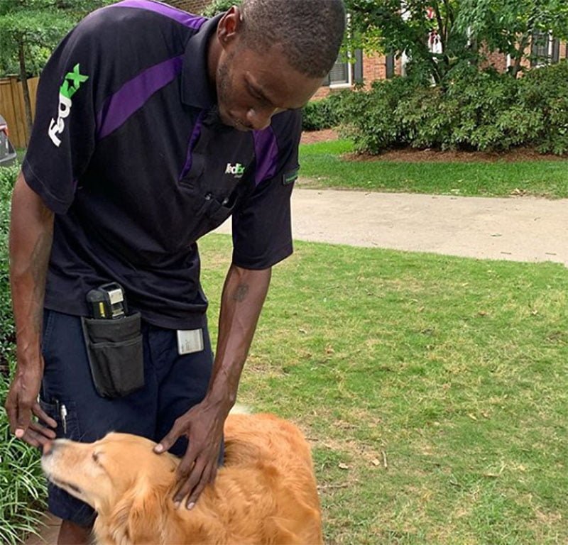 FedEx y perro