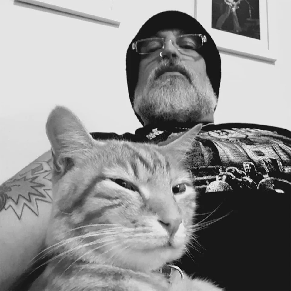 Gato se escabulle a casa de sus vecinos todos los días para pasar la noche 9 Gato escapa y John