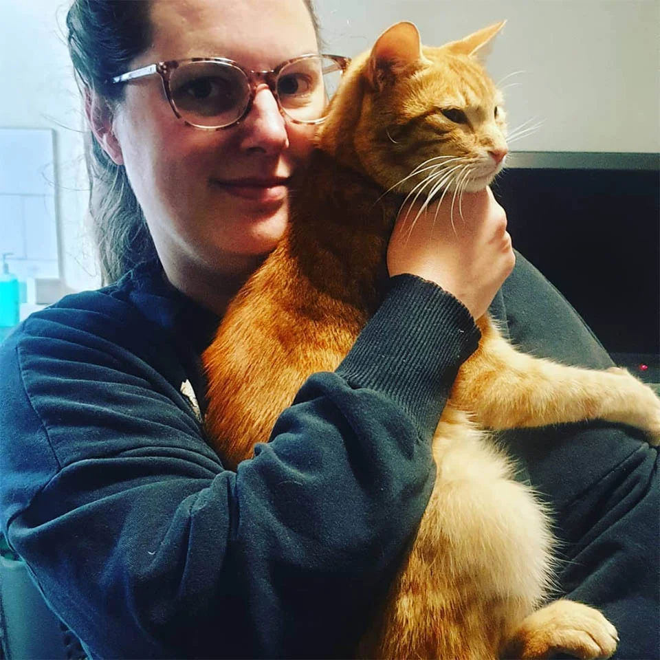 Gato se escabulle a casa de sus vecinos todos los días para pasar la noche 3 Gato se escapa Alex