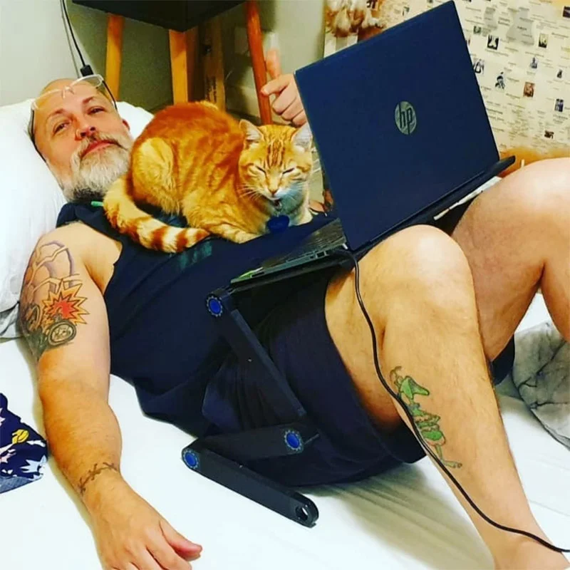 Gato se escabulle a casa de sus vecinos todos los días para pasar la noche 1 Gato se escapa John