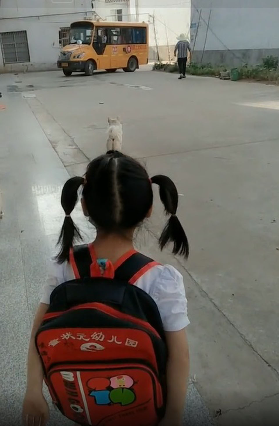 Perro fiel espera junto a su niña el autobús a diario para asegurarse que esté a salvo 3 Niña espera el autobús