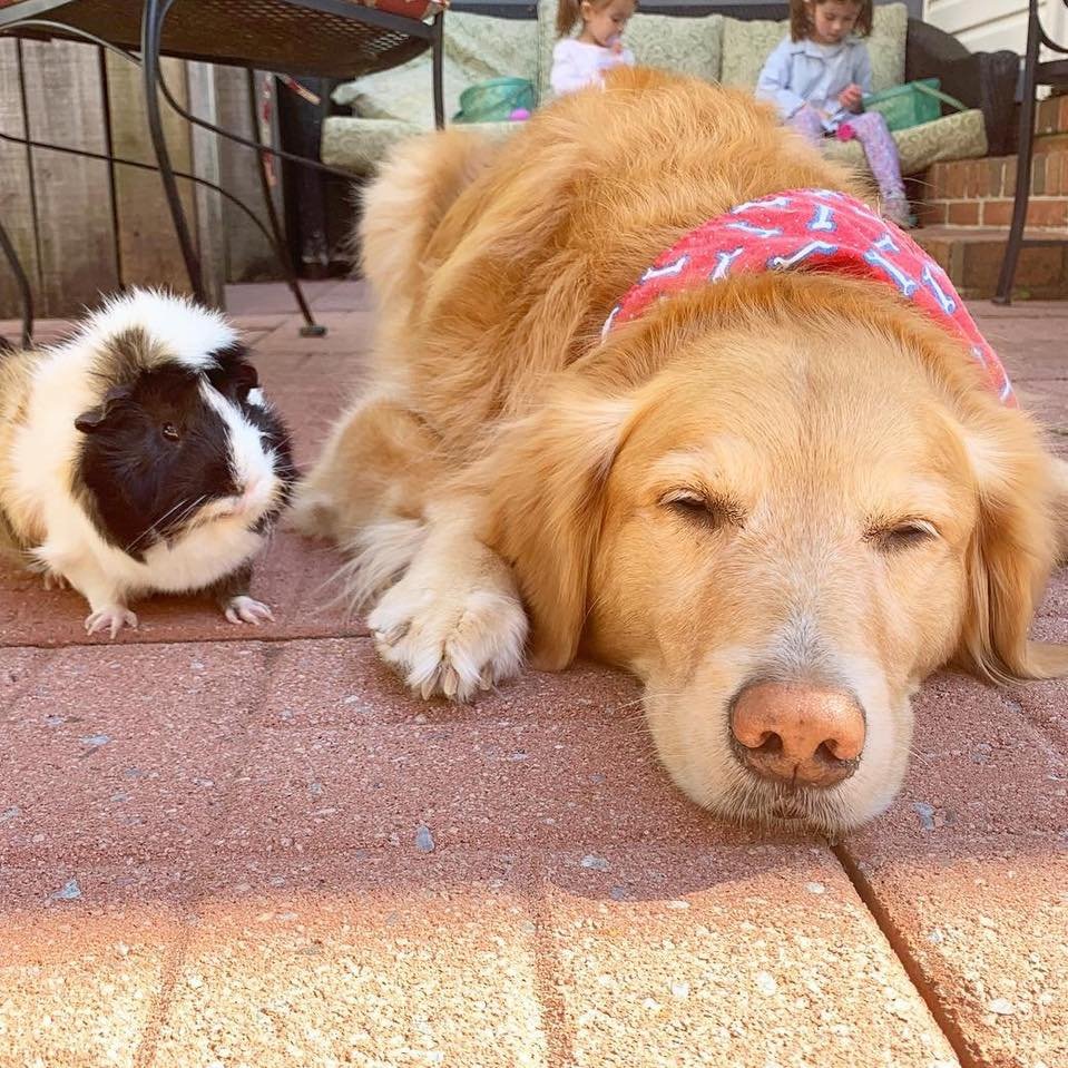 Pareja inseparable
