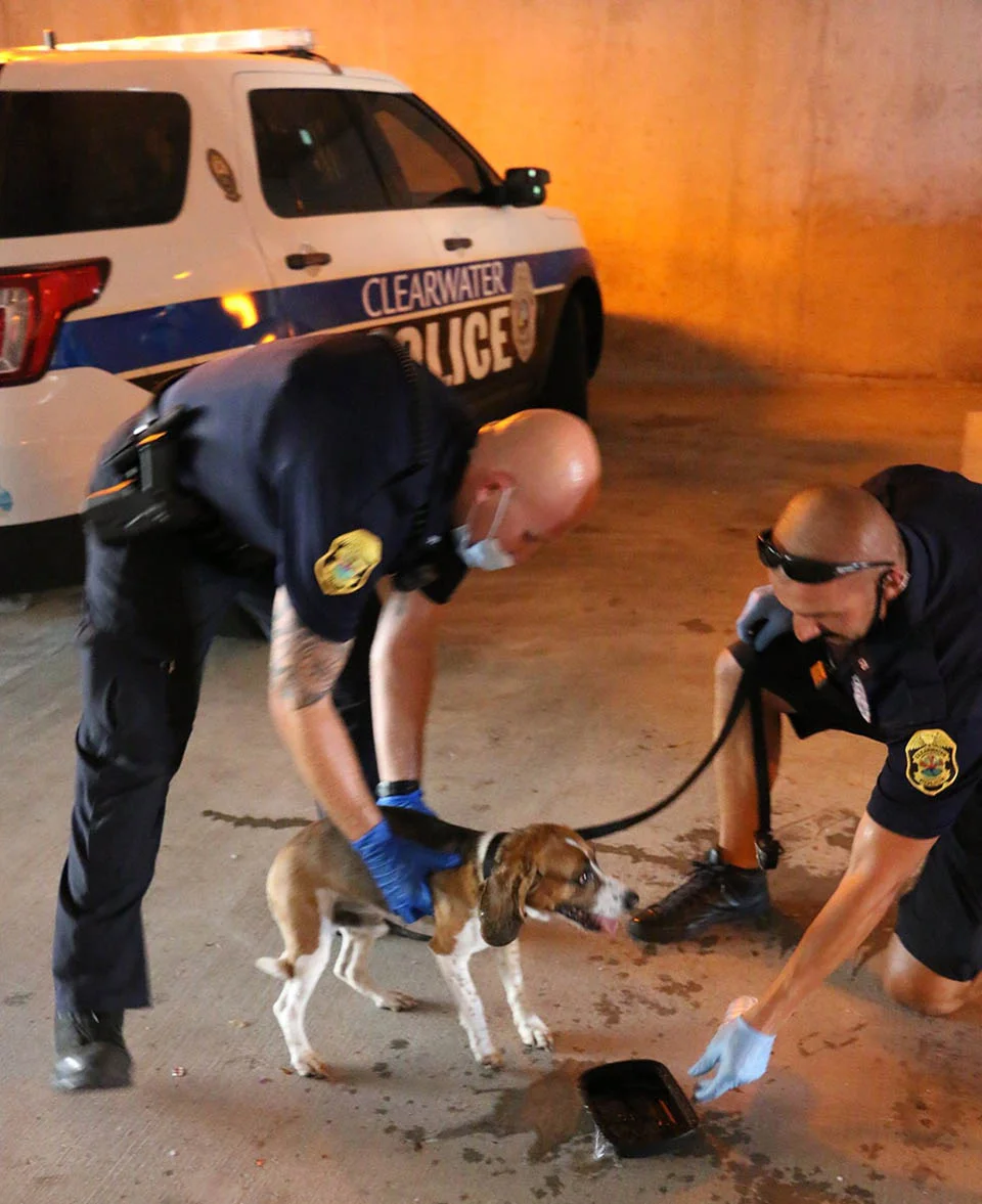 Oficiales rompen la ventana de un auto donde un perro ladraba pidiendo ayuda 4 Cachorro rescatado
