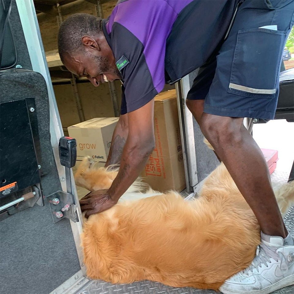 Perro se enamora carteros