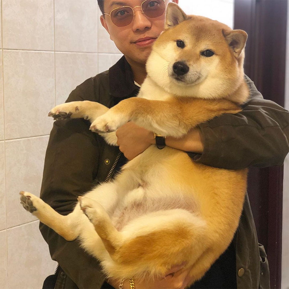 Balltze, el perro Shiba inu estrella de tus memes favoritos 9 Balltze y su dueño