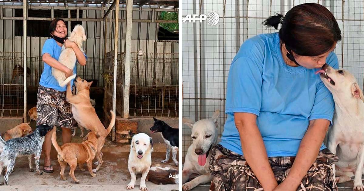 Doctora en Indonesia ha rescatado a más de 1000 perros sin hogar