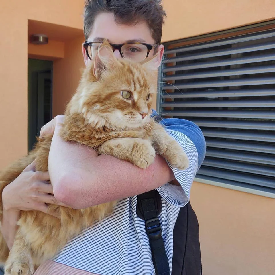 Gato corre para decir "buenos días" cada vez que sus vecinos abren las persianas 3 Gato da buenos días a vecinos