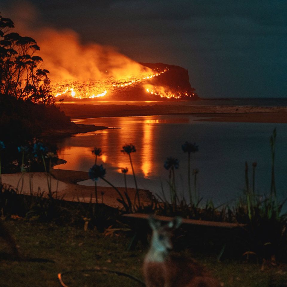 Incendios en Australia afecto 3 mil millones