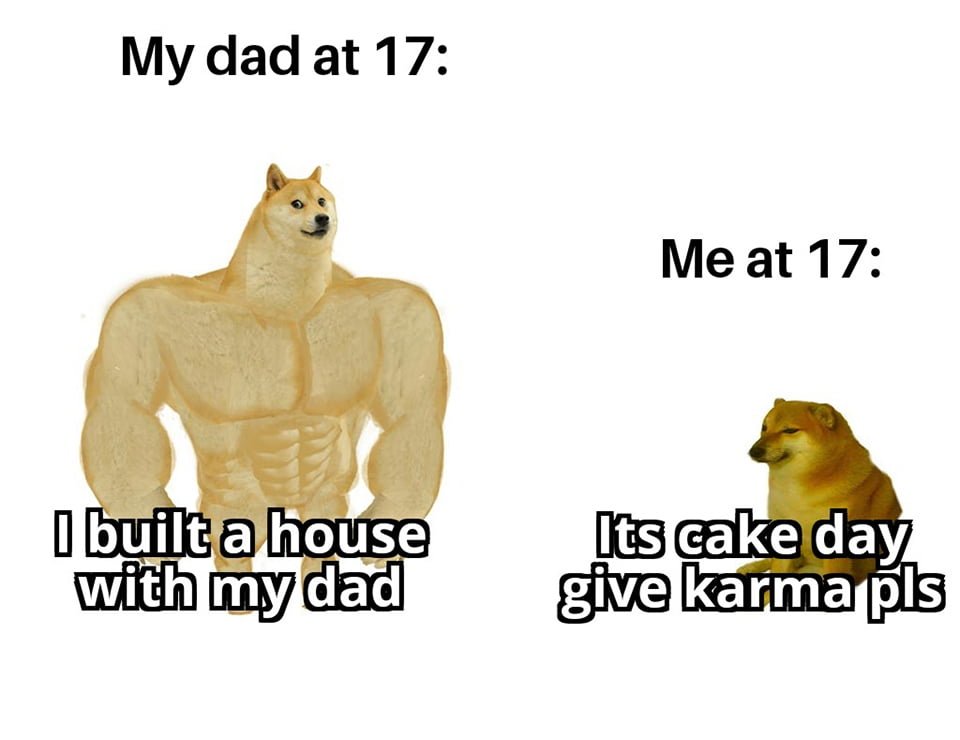 Balltze, el perro Shiba inu estrella de tus memes favoritos 20 Meme el perro shiba