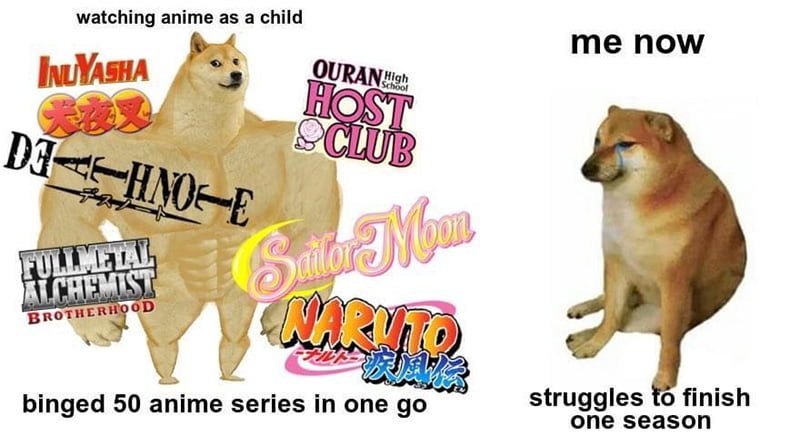 Balltze, el perro Shiba inu estrella de tus memes favoritos 21 Meme shiba