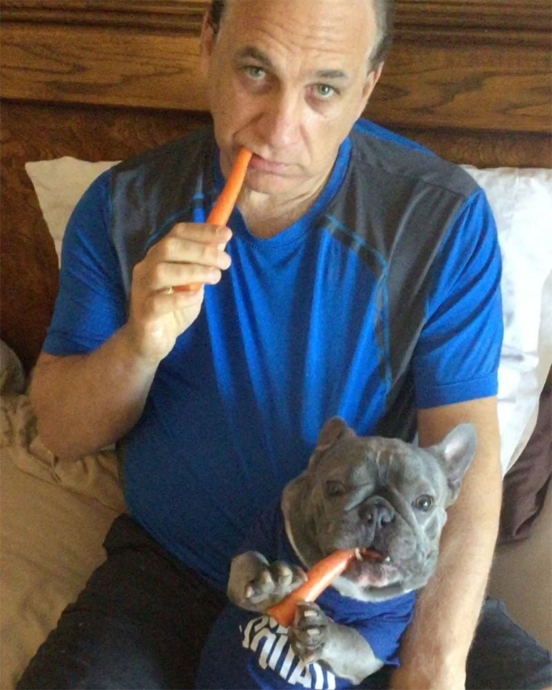 Pequeño bulldog francés adora comer los bocadillos como lo hace papá 17 Perro come zanahoria