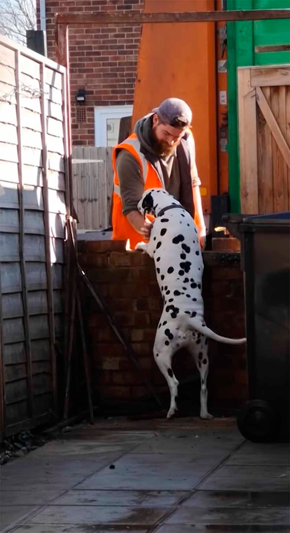 Perro es filmado mientras espera pacientemente a que llegue el hombre del aseo 10 Perro filmado en secreto