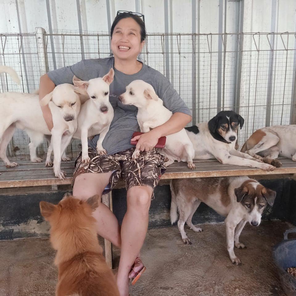 Doctora en Indonesia ha rescatado a más de 1000 perros sin hogar 2 Perros rescatados