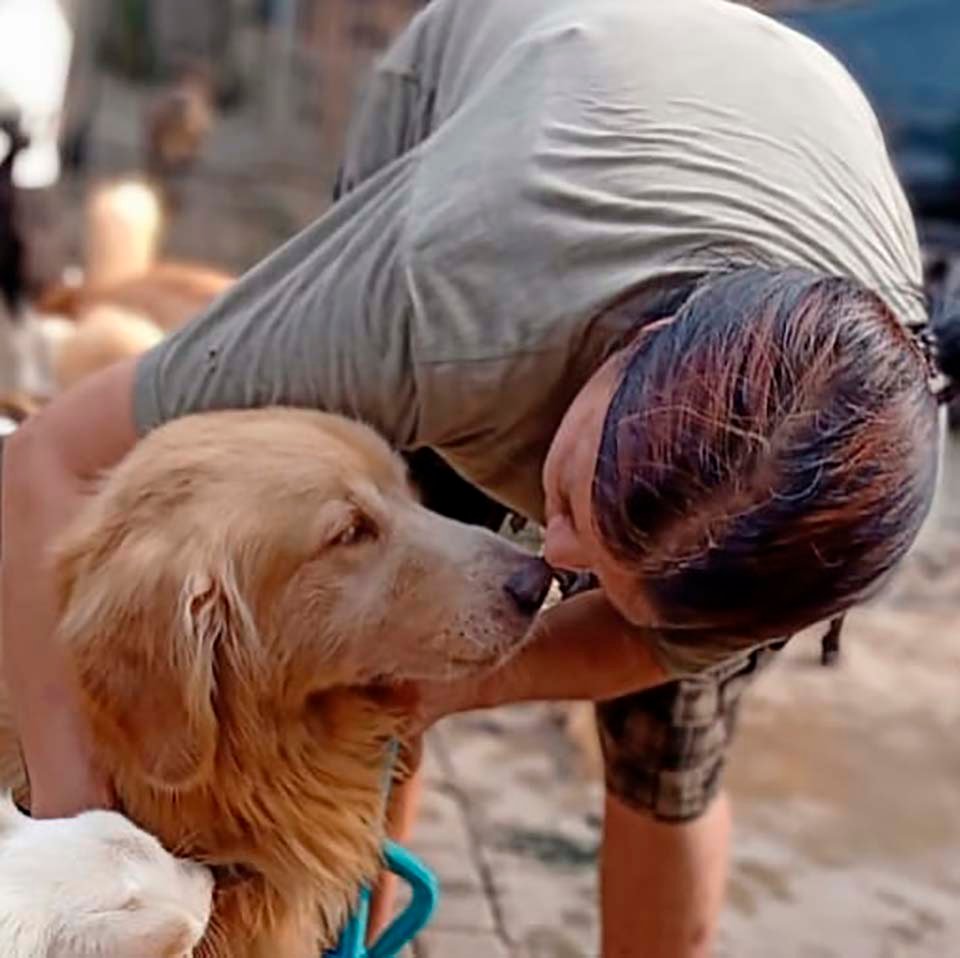 Doctora en Indonesia ha rescatado a más de 1000 perros sin hogar 8 Refugio Indonesia