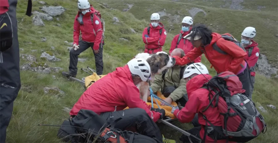 San bernardo que no pudo bajar de la montaña consigue su propio equipo de rescate 4 San Bernardo en montaña