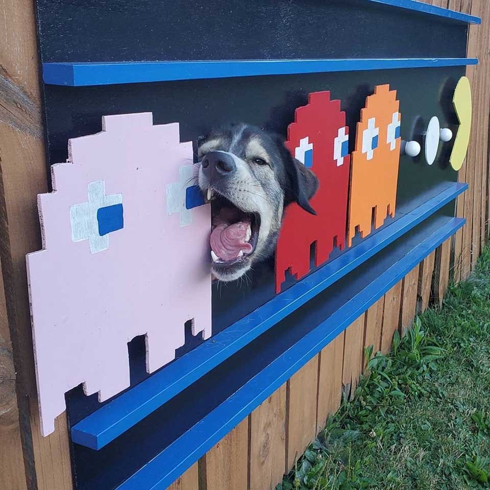 Familia decora el agujero del perro en la cerca para entretener a los vecinos 15 Figura pacma