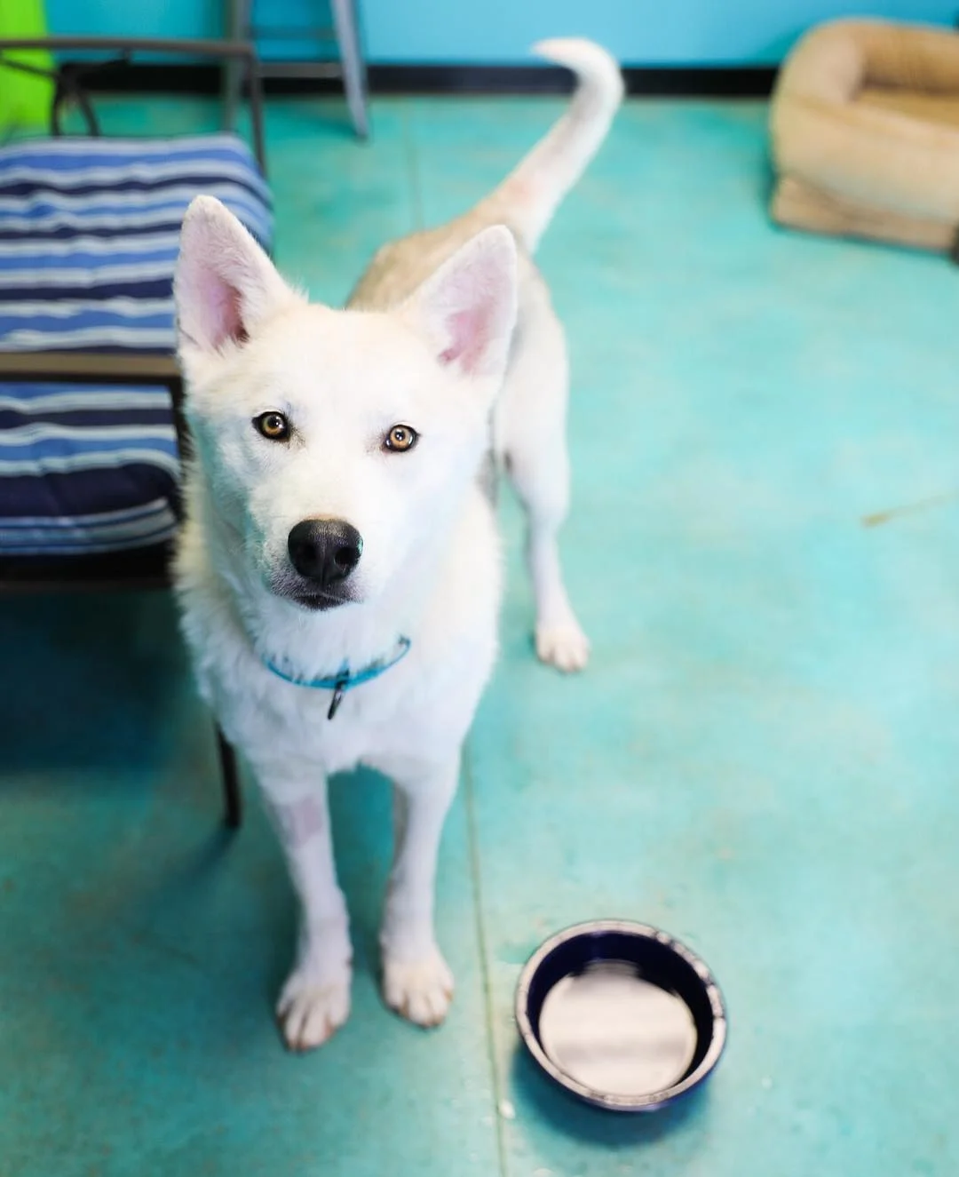 Finn recuperado totalmente