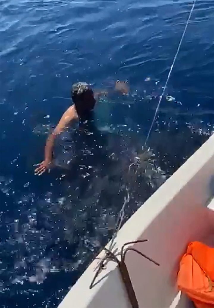 Hombre salta sobre un tiburón ballena y se aferra a su aleta dorsal 12 Hombre monta tiburón ballena