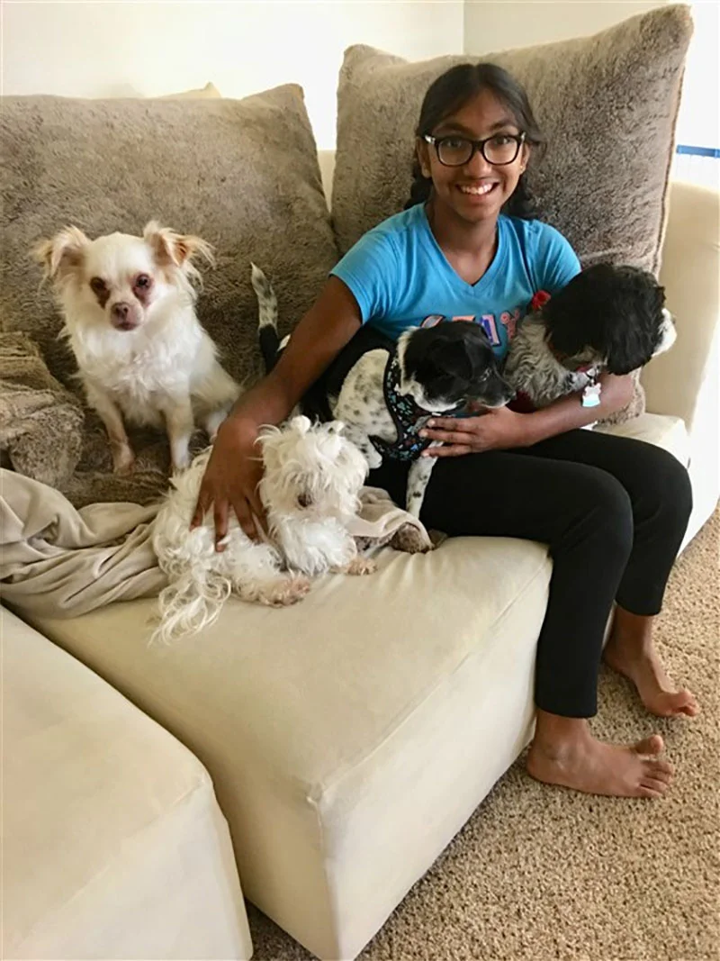 Meena cuida perros