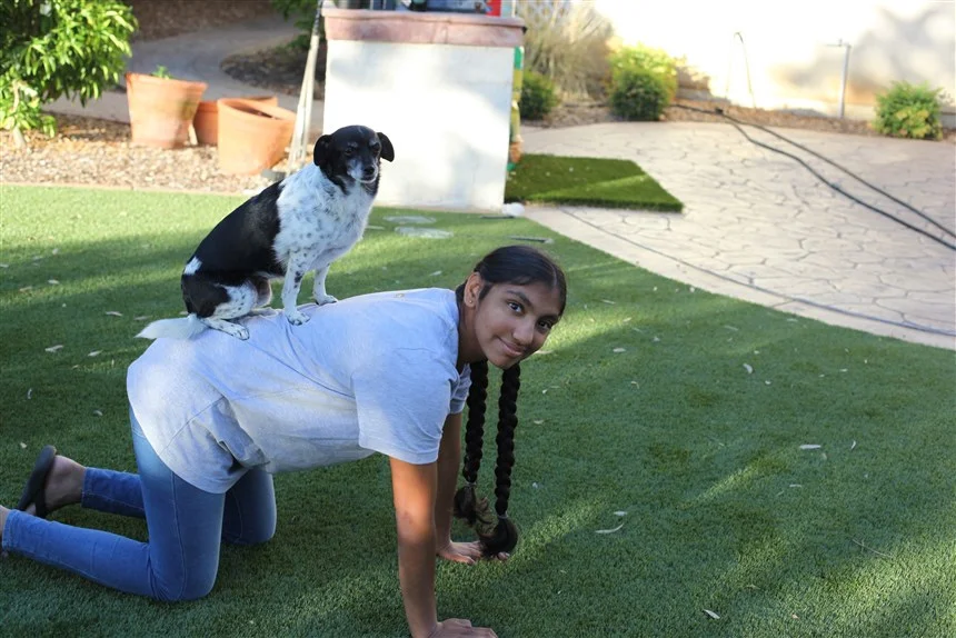 Niña adoptada ayuda perros mayores