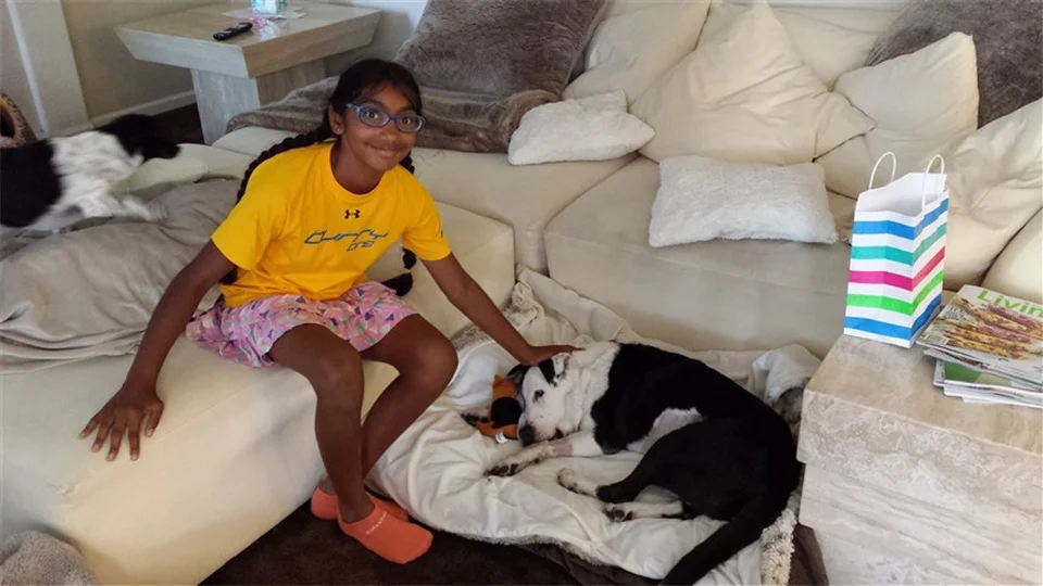 Niña adoptada cuida perros