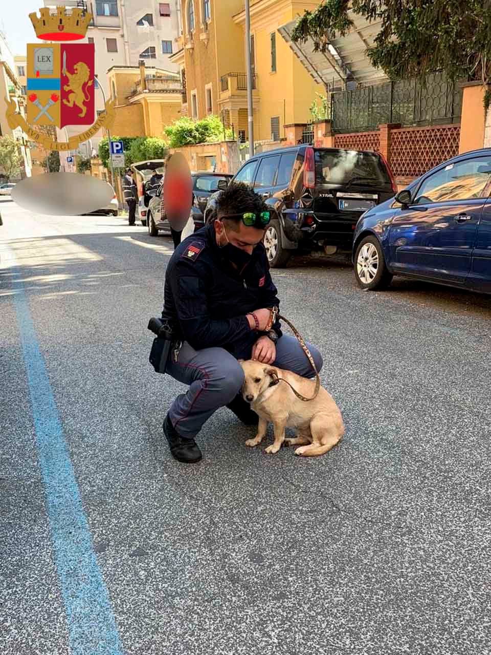 Policía rescata a una perrita dejada en un poste bajo el sol y la adopta 4 Perrita rescatada