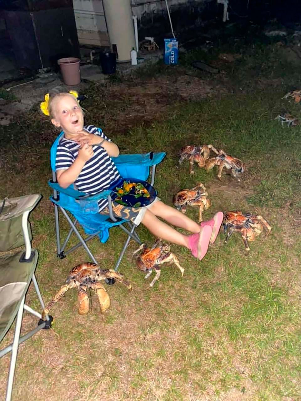 Una multitud de cangrejos gigantes decidió aparecerse en un picnic familiar 9 Cangrejos en picnic familiar