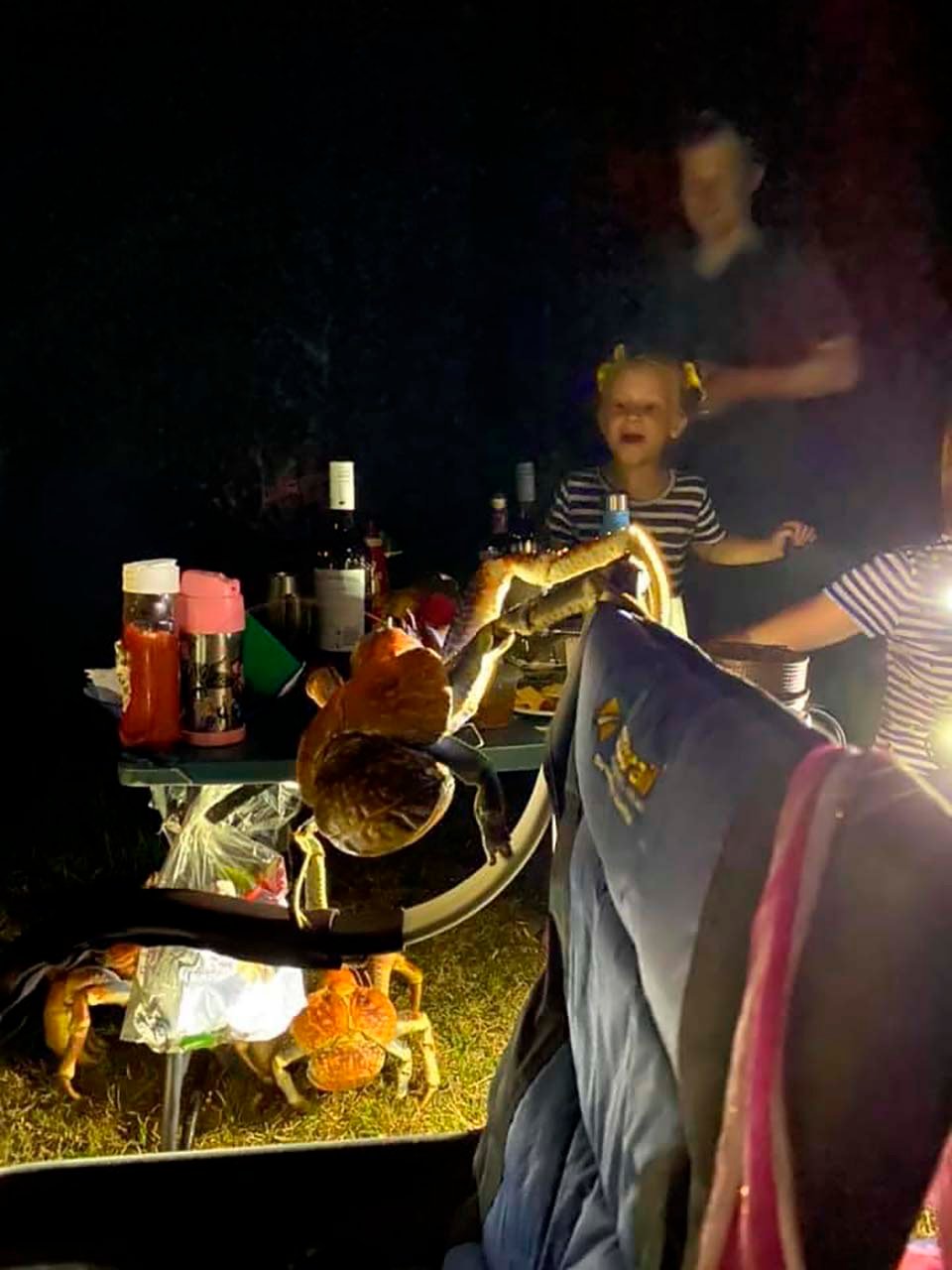 Una multitud de cangrejos gigantes decidió aparecerse en un picnic familiar 14 Cangrejos se unen a picnic familiar