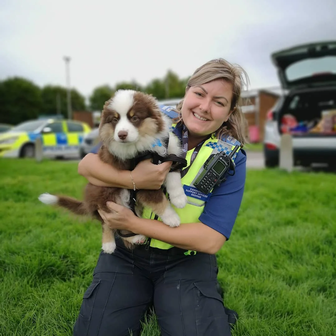 Futuro perro policía junto a oficial Futuro perro policía junto a oficial