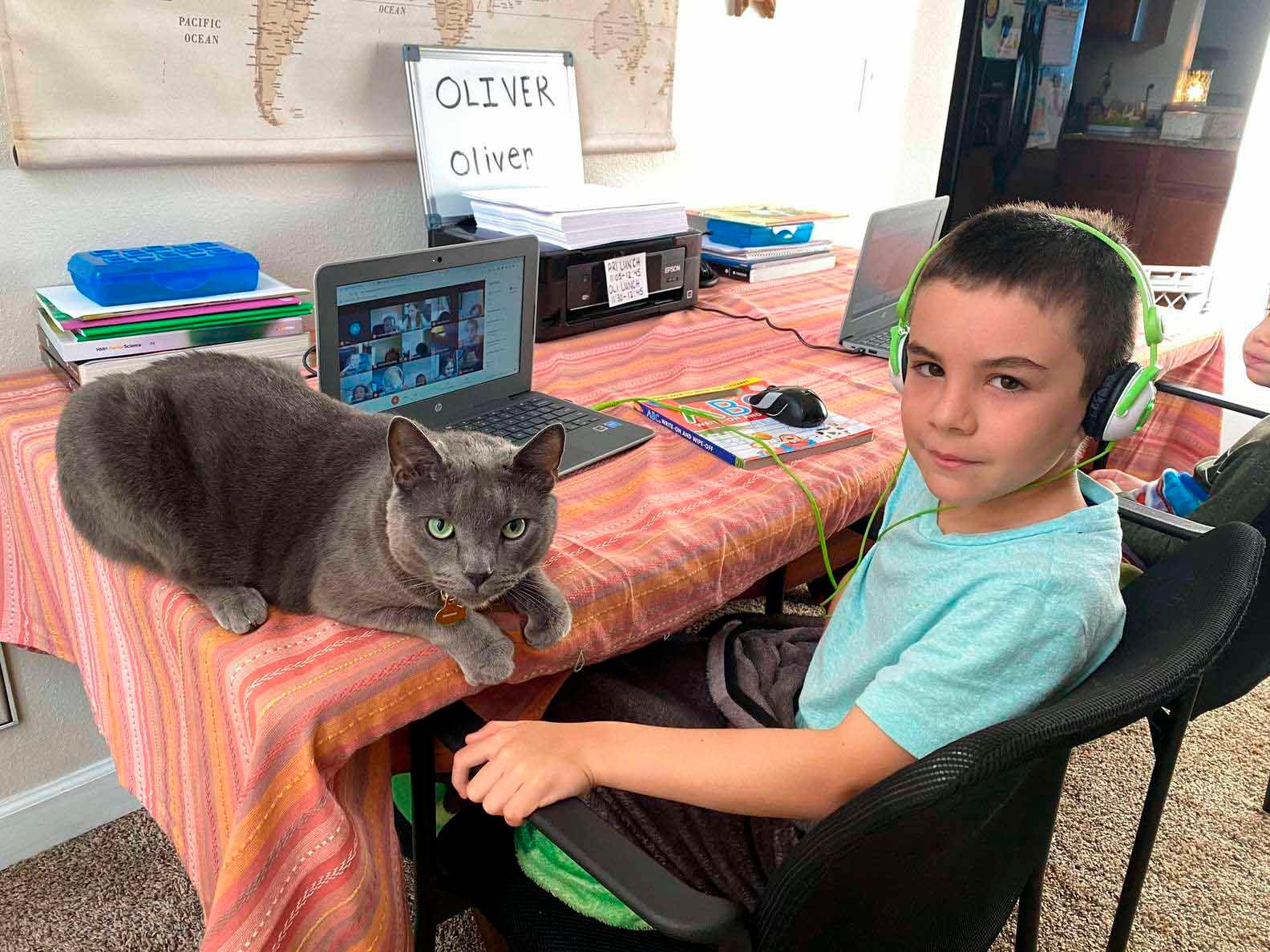 Familia estaba planeando adoptar un gatito hasta que vieron a este gato de cara triste 4 Gatito de cara triste
