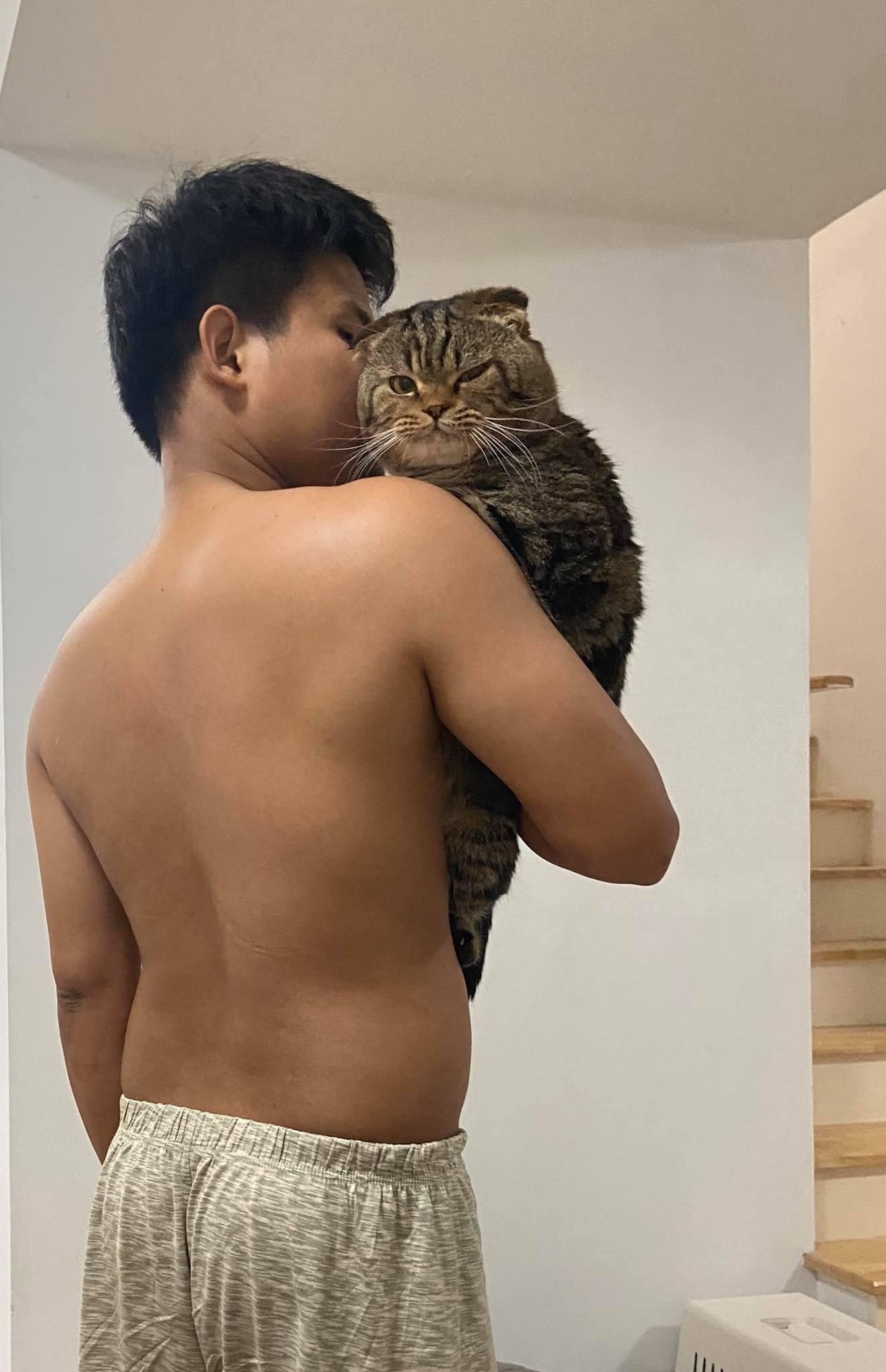 Gato le robó a su esposo y mujer documenta tod Gato le robó a su esposo y mujer documenta tod