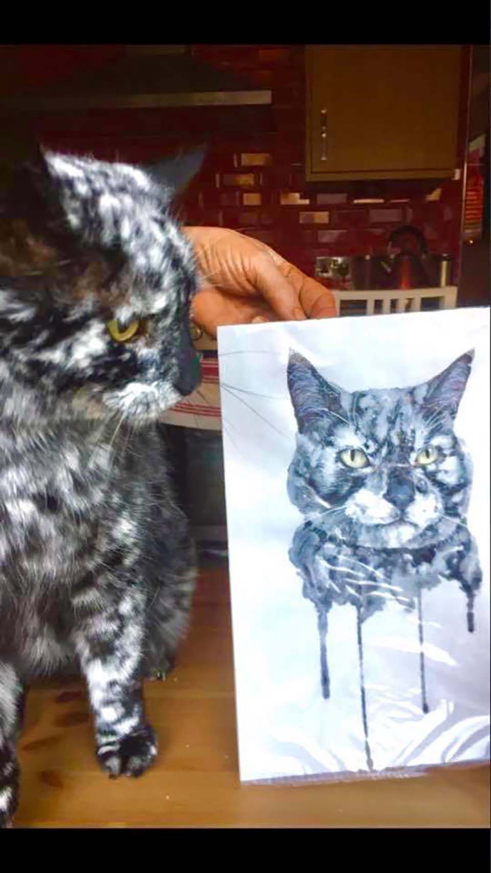 Hermoso gato y su dibujo