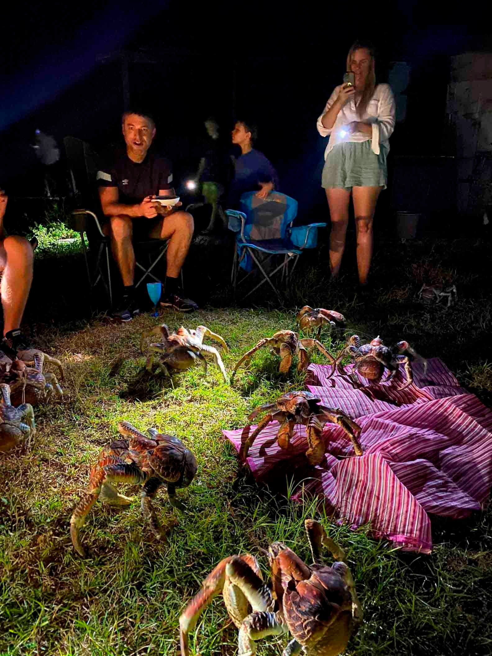 Una multitud de cangrejos gigantes decidió aparecerse en un picnic familiar 13 Multitud de cangrejos gigantes