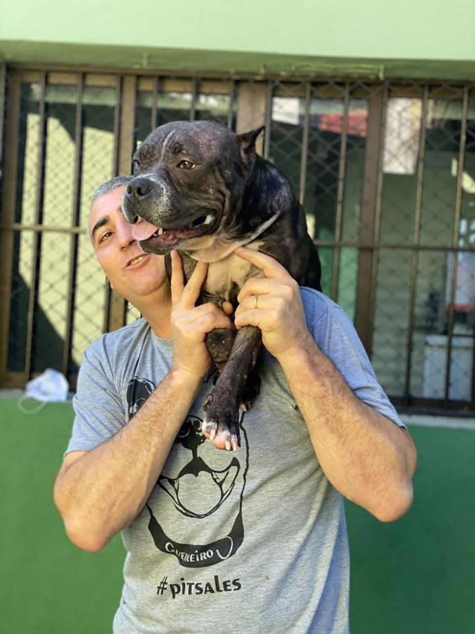 Perrita juega feliz