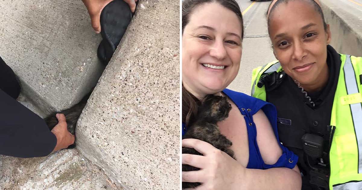 Mujer ve un gatito atrapado al costado de la carretera y se detiene para ayudarlo