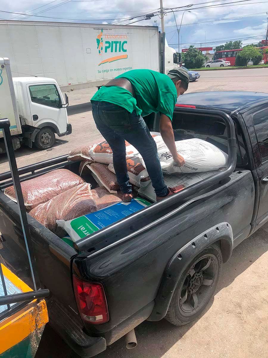 Hombre da refugio a 300 animales sin hogar para protegerlos del huracán Delta 22 Ricardo comprando comida