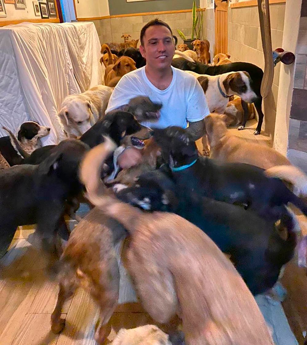 Hombre da refugio a 300 animales sin hogar para protegerlos del huracán Delta 14 Ricardo da refugio perros
