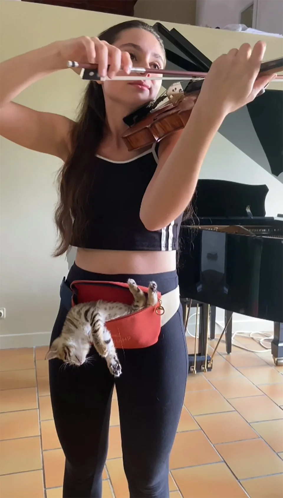Violinista y su pequeño gato