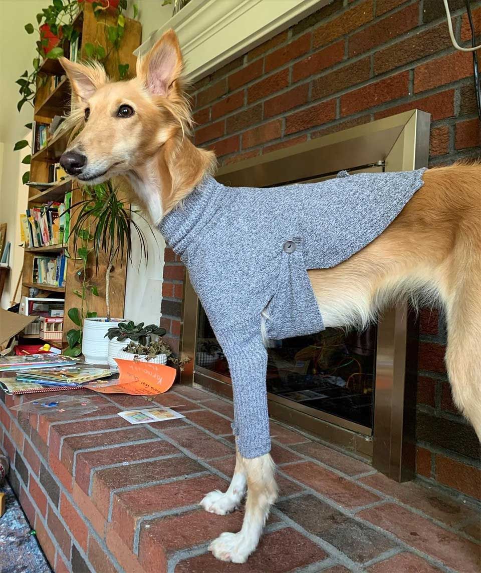 Cleo con suéter